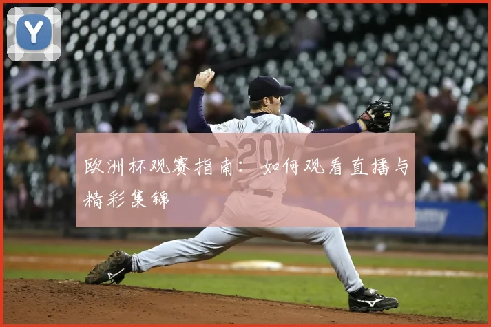 欧洲杯观赛指南：如何观看直播与精彩集锦