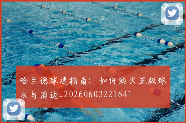 哈兰德球迷指南：如何购买正版球衣与周边_20260603221641