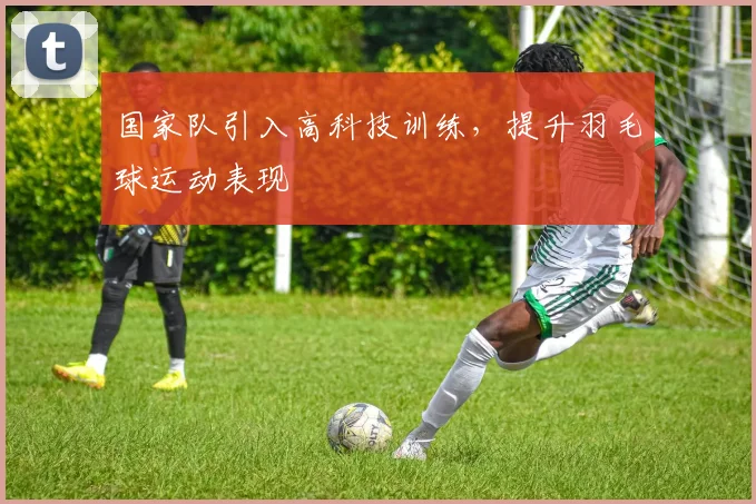国家队引入高科技训练,提升羽毛球运动表现