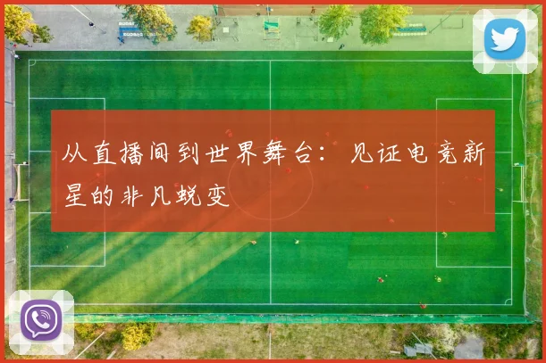 从直播间到世界舞台:见证电竞新星的非凡蜕变